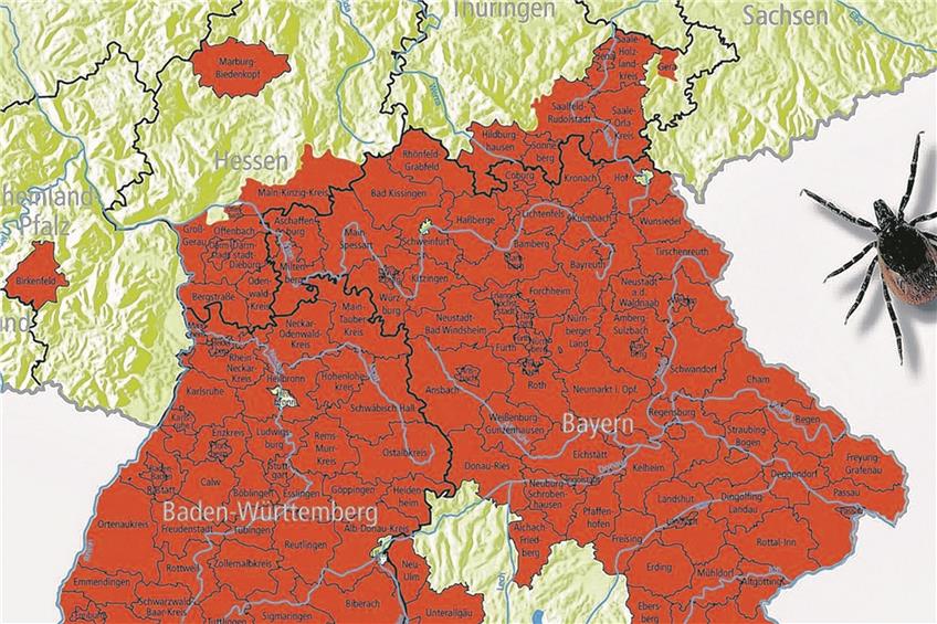 Baden-Württemberg ist FSME-Risikogebiet. Bild: www.zecken.de