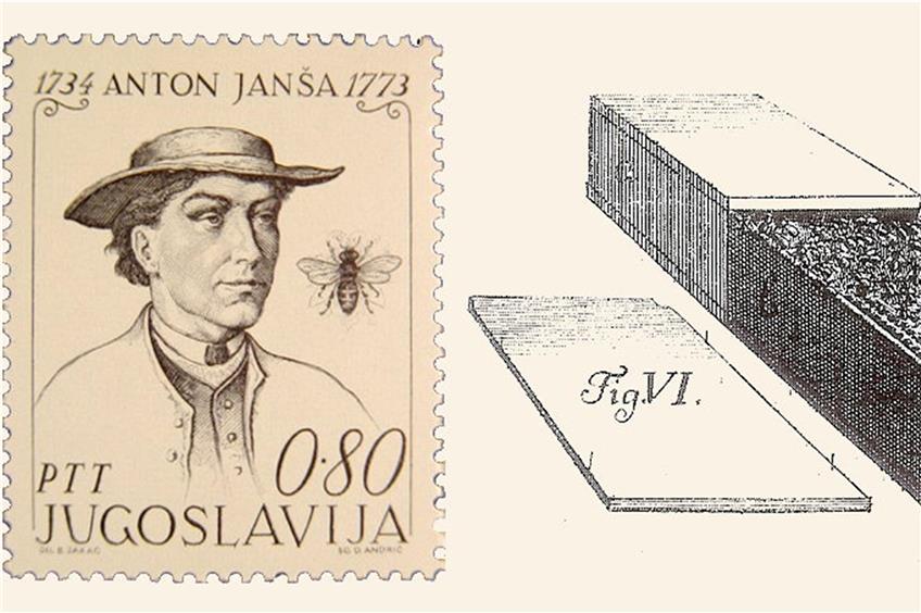 Bereits im 18. Jahrhundert erfand Anton Janšas den Krainer Bauernstock und legte damit unter anderem das Fundament für die heutige wesensgemäße Bienenhaltung in der Bienenkiste. Bild: wikimedia commons&„Vollständige Lehre von der Bienenzucht“ (Buch; 1777)