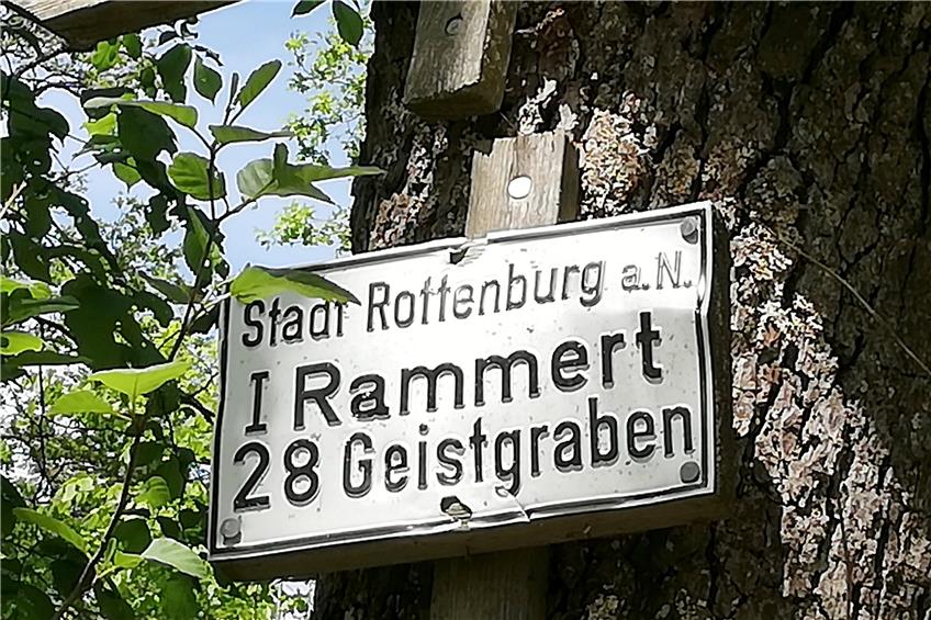 Das Gewann „Geistgraben“ im Rammert erinnert an unheimliche Geschichten. Bilder : Arndt Spieth