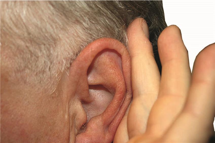 Das Ohr reinigt sich selbst. Die „Ceruminaldrüsen“ produzieren so viel Schmalz, wie gerade nötig. Archivbild: Maria Lisa Sporrer