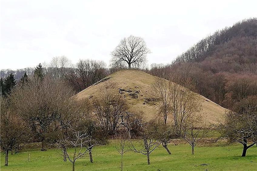 Der Calverbühl bei Dettingen/Erms ist einer der auffälligen Vulkanschlote der Schwäbischen Alb. 1871 pflanzte die Gemeinde Dettingen auf dem Gipfel eine Friedenslinde. Bild: Arndt Spieth