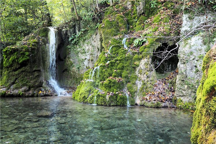 Der Gütersteiner Wasserfall liegt verwunschen und märchenhaft. Bilder: Arndt Spieth