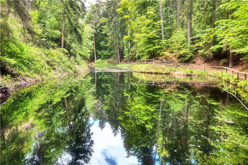 Der Märchensee in Wendelsheim sieht wirklich märchenhaft schön aus. Bild: Gabriele Böhm