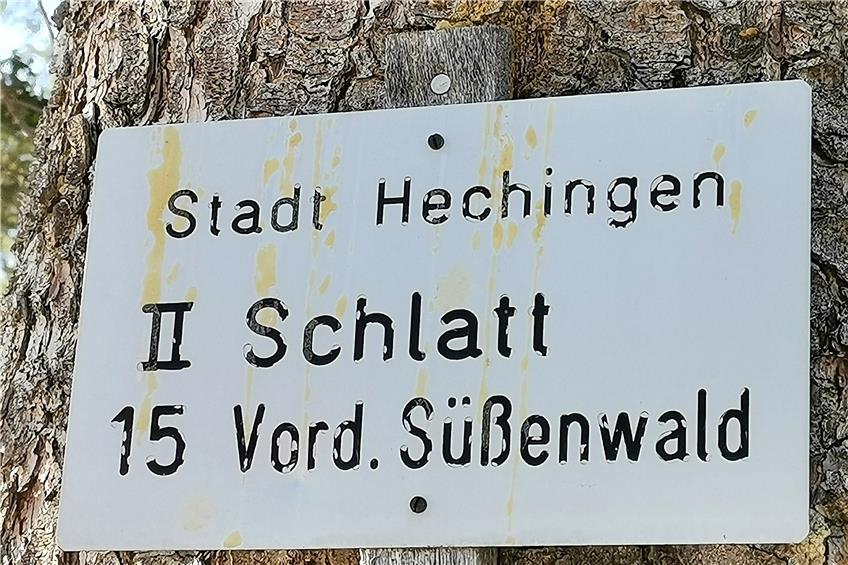 Der „Vordere Süßenwald“ gehört der Stadt Hechingen. Bild: Arndt Spieth