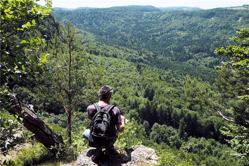 Die Ausblicke vom Gräbelesberg auf das völlig bewaldete Tobeltal des Steinbachs sind atemberaubend. Fast wie in einem kanadischen Nationalpark, meint unser Wanderführer.