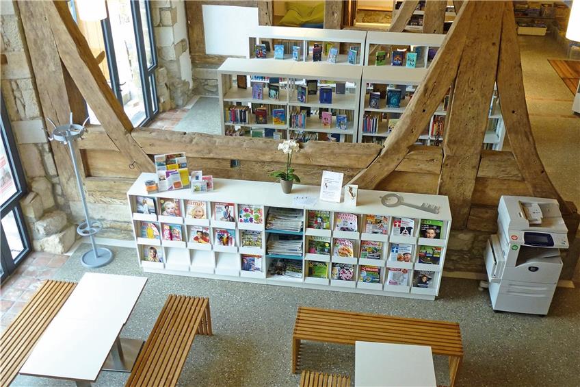 Die EKZ stattet Bibliotheken mit allem aus, was diese brauchen: vom Buch bis zum Regal – zum Beispiel auch 2015 Gomaringens neue Bibliothek im Schloss. Archivbild: EKZ