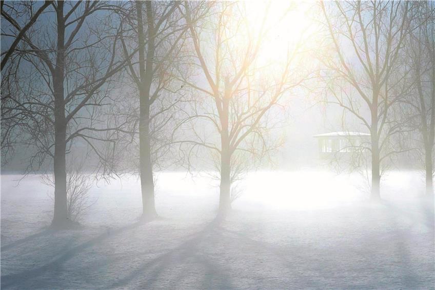 Ein Spaziergang bei winterlich-weißem Wetter und Sonnenschein kann bei einer Winterdepression helfen. Archivbild: Kuball