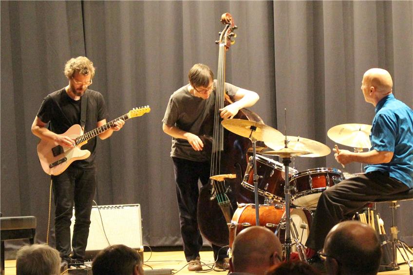 Eines der Highlights bei den diesjährigen Jazz-und-Klassiktagen: das Jakob-Bro-Trio. Bilder: Jürgen Spieß