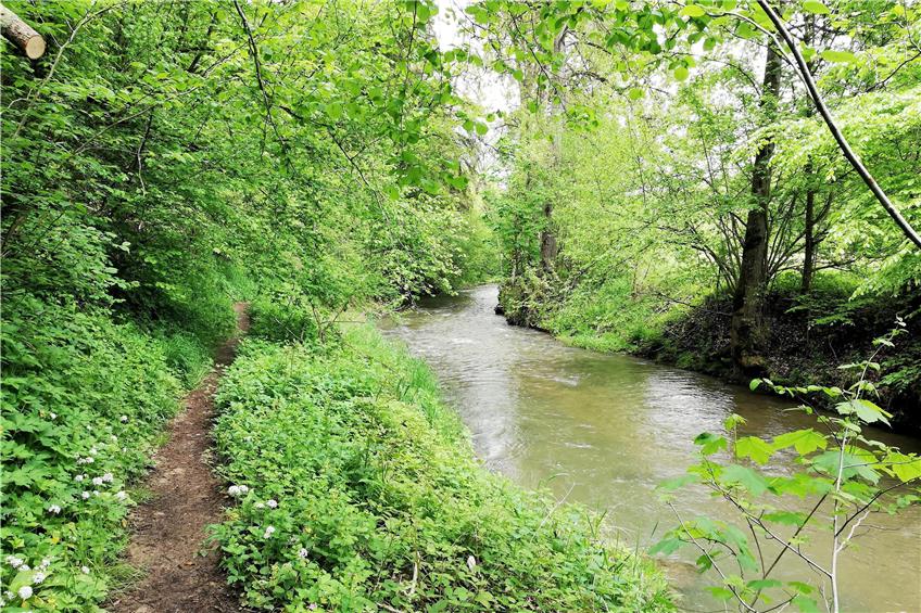 Flusswandern an der Starzel lang ist jetzt im grünen Frühjahr besonders idyllisch. Bilder: Arndt Spieth