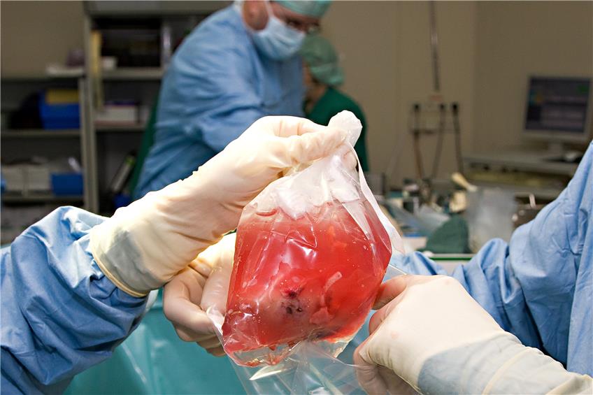 Gespendete Organe können die Leben anderer Menschen retten oder zumindest verlängern. Bild: horizont21/stock.adobe.com