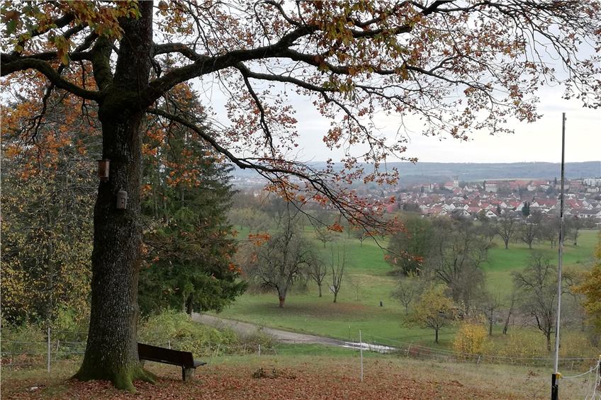 Herbstlicher Ausblick auf Gomaringen. Bilder: Arndt Spieth