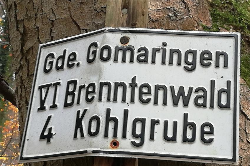 Im Gemeindewald von Gomaringen befindet sich ein „Brenntenwald“ mit Kohlgrube. Bild: Arndt Spieth