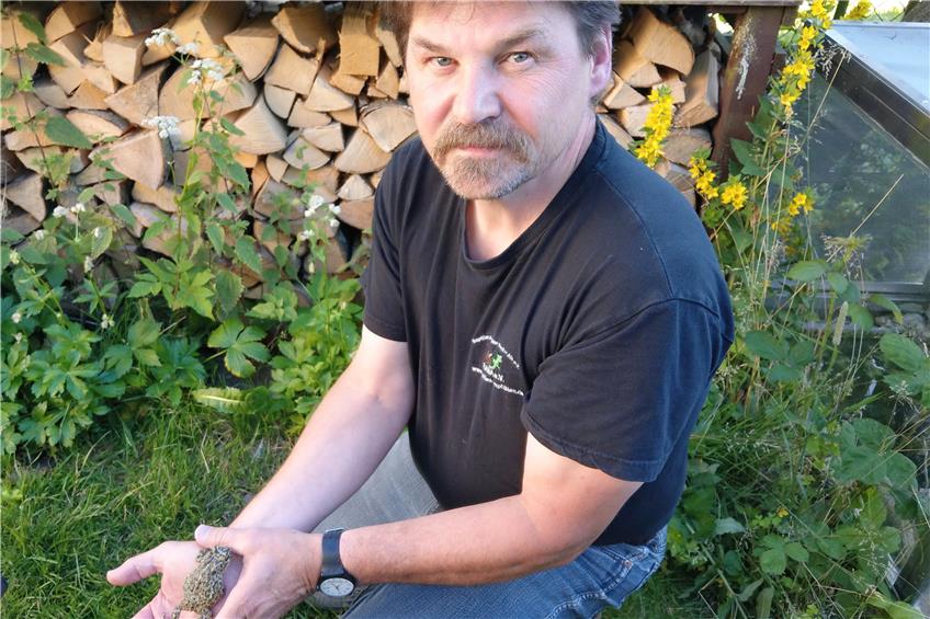 Jürgen Tröge mit einer Wechselkröte, die er in seinem Garten hält. Sie braucht Weinbergklima und karge Teiche. Bild: Gabriele Böhm