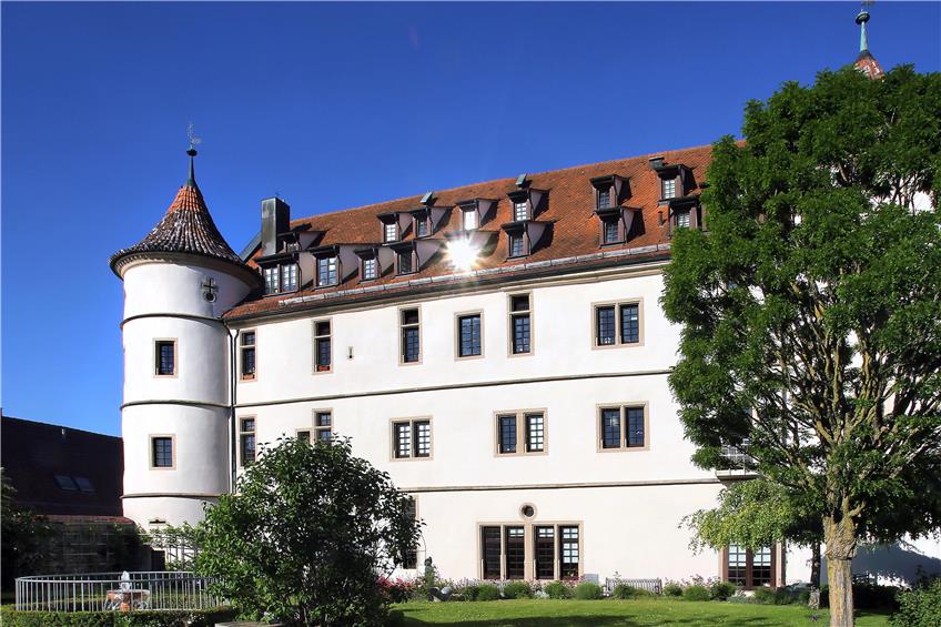 Schloss Bühl – im Vordergrund die Ausstellung des Bildhauers Ralf Ehmann, die bis 21. September läuft. Bilder: Erich Sommer