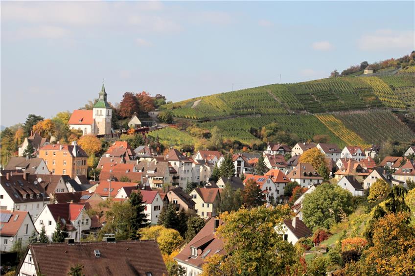Schöner Blick auf den Obertürkheimer Ortskern mit Petruskirche und die Weinberge drumrum.
